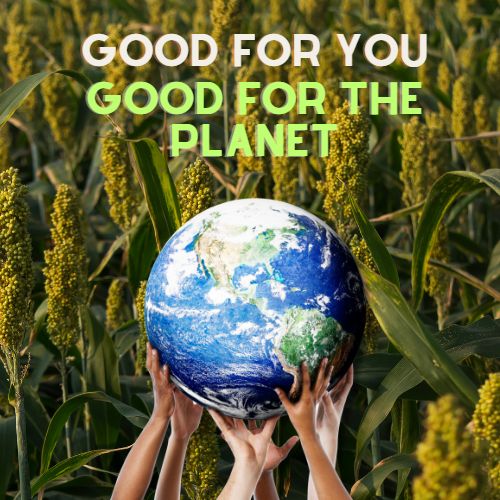 Millets - Good for You. Good For the Planet